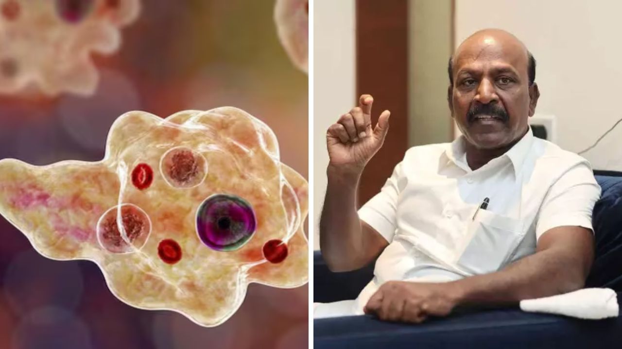 மூளையைத் தின்னும் அமீபா.. தமிழகத்தில் பாதிப்பை ஏற்படுத்துமா? அமைச்சர் பரபர விளக்கம்! மூளையைத் தின்னும் அமீபா.. தமிழகத்தில் பாதிப்பை ஏற்படுத்துமா? அமைச்சர் பரபர விளக்கம்!