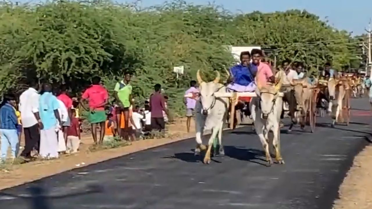 சீறிப்பாயும் காளைகள்.. தூத்துக்குடியில் களைகட்டிய மாட்டுவண்டி பந்தயம்!