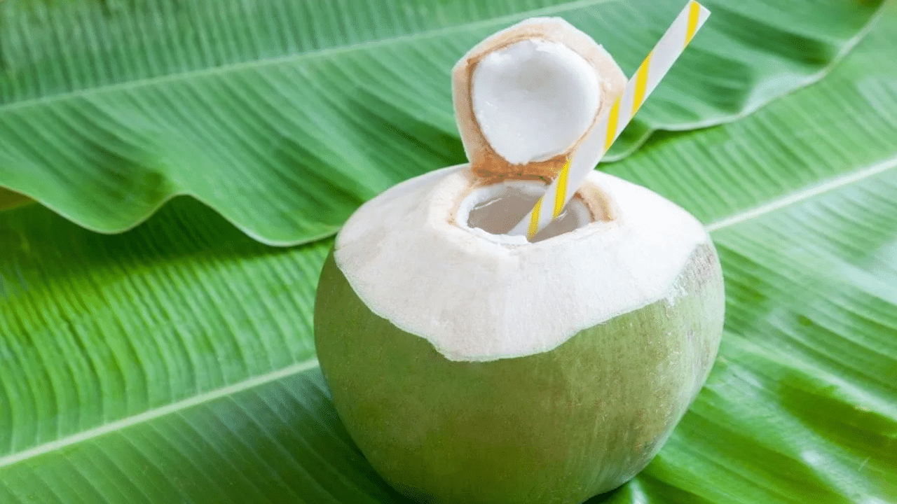 இளநீரின் பக்க விளைவுகள் – யாரெல்லாம் தவிர்க்க வேண்டும்?