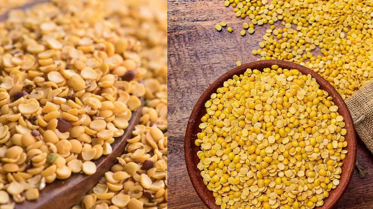 Dal Benefits: உணவில் பருப்பை தவிர்ப்பவரா நீங்கள்? - அப்ப இதை தெரிஞ்சுகோங்க! Dal Benefits: உணவில் பருப்பை தவிர்ப்பவரா நீங்கள்? - அப்ப இதை தெரிஞ்சுகோங்க!