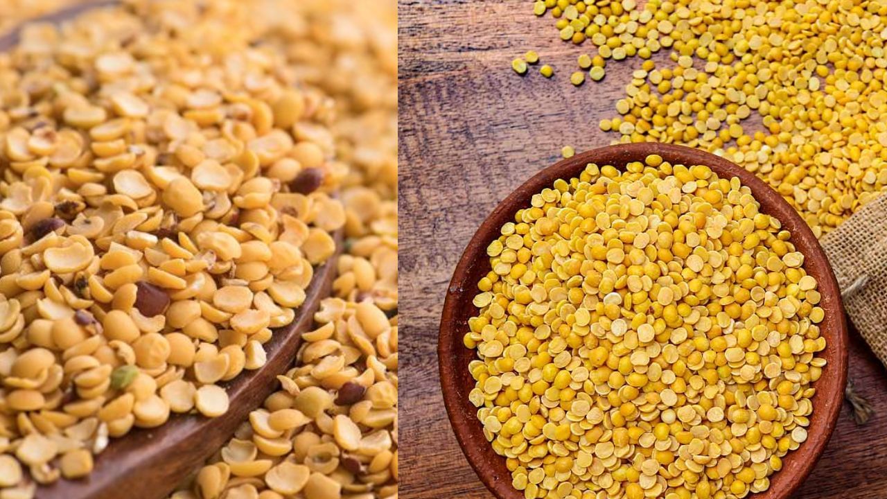 Dal Benefits: உணவில் பருப்பை தவிர்ப்பவரா நீங்கள்? – அப்ப இதை தெரிஞ்சுகோங்க!