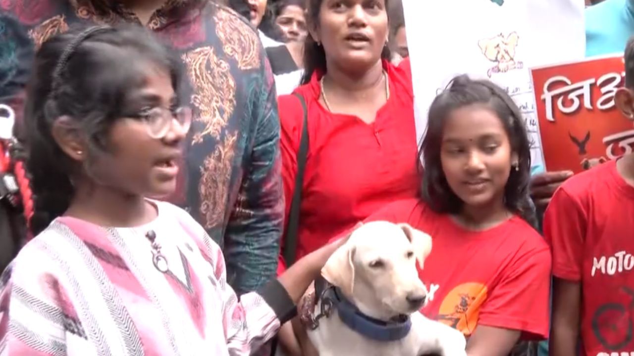 தெரு நாய்களுக்கு ஆதரவாக பேரணி செய்த விலங்கு ஆர்வலர்கள்!