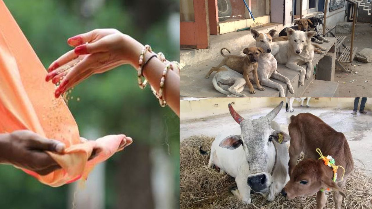 கடன் பிரச்னையால் அவதியா? – இந்த பரிகாரம் செய்தால் தீர்வு! கடன் பிரச்னையால் அவதியா? – இந்த பரிகாரம் செய்தால் தீர்வு!