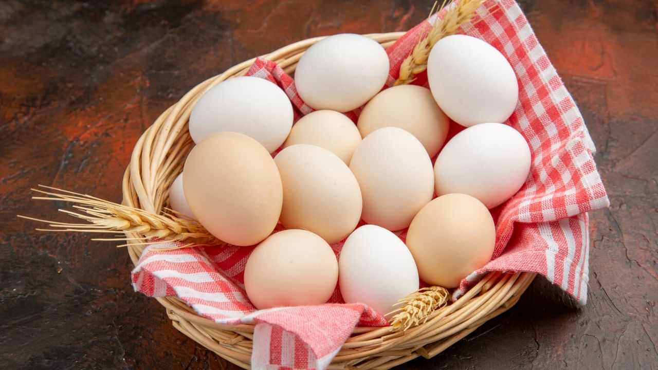 Health Tips: ஒரு நாளைக்கு எத்தனை முட்டை சாப்பிடுவது நல்லது..? யார் அதிகமாக சாப்பிடக்கூடாது?