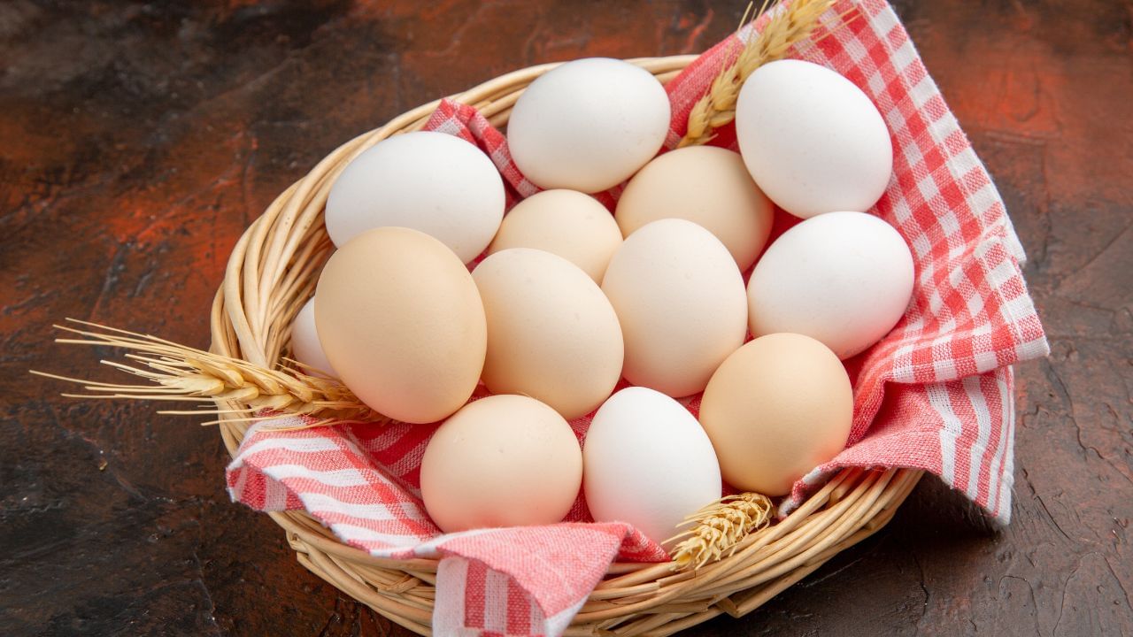 Health Tips: ஒரு நாளைக்கு எத்தனை முட்டை சாப்பிடுவது நல்லது..? யார் அதிகமாக சாப்பிடக்கூடாது? Health Tips: ஒரு நாளைக்கு எத்தனை முட்டை சாப்பிடுவது நல்லது..? யார் அதிகமாக சாப்பிடக்கூடாது?