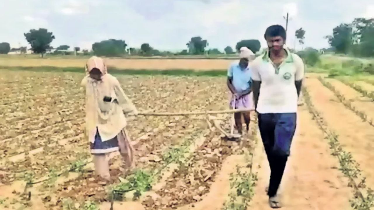 மாடுகளுக்கு பதிலாக பிள்ளைகளை வைத்து உழவு செய்த விவசாயி.. வெறுமையின் கொடுமை!