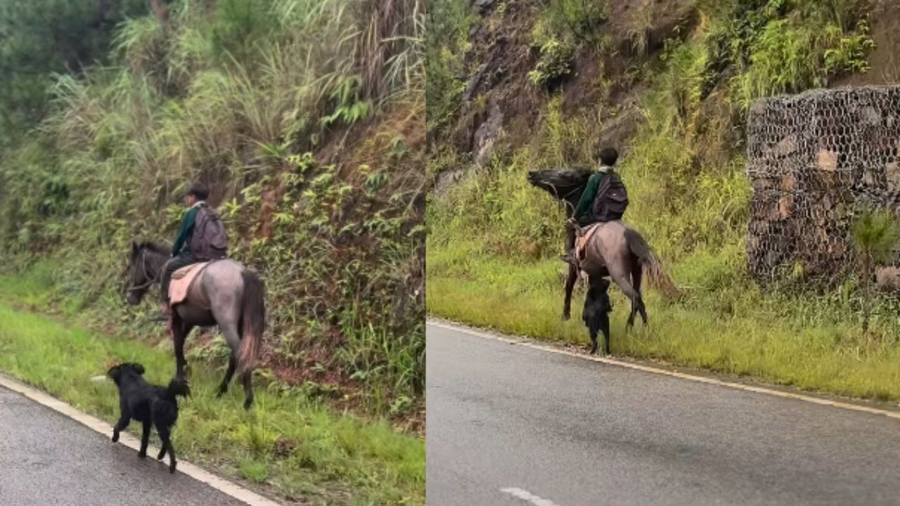 Viral Video : பள்ளிக்கு குதிரையில் செல்லும் சிறுவன்.. வியக்கவைக்கும் சுவாரஸ்ய வீடியோ!