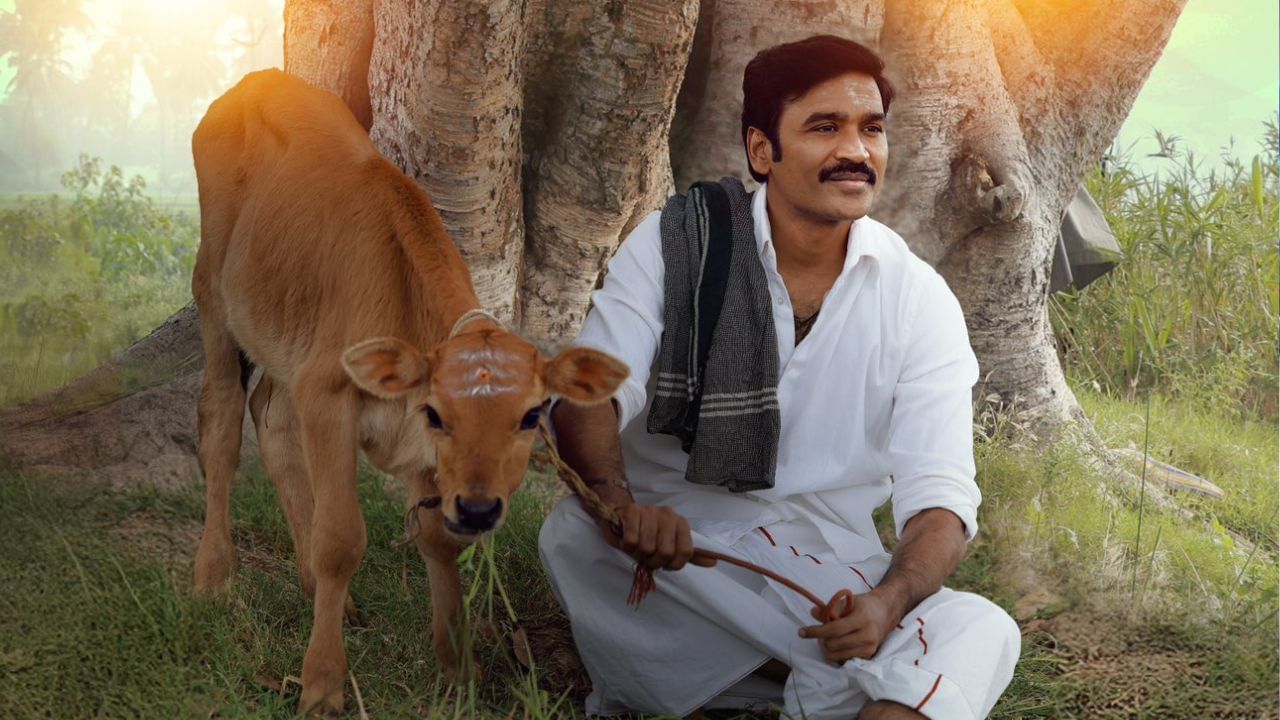 Idly Kadai : தனுஷின் ‘இட்லி கடை’ படத்தில் கேமியோ ரோலில் அந்த நடிகரா? வைரலாகும் தகவல்!