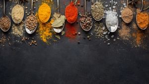Indian Spices Health Benefits: நோய் எதிர்ப்பு சக்தியை அதிகரிக்கும் இந்திய மசாலாக்கள்.. தினம் தினம் ஆரோக்கியம் தரும்!
