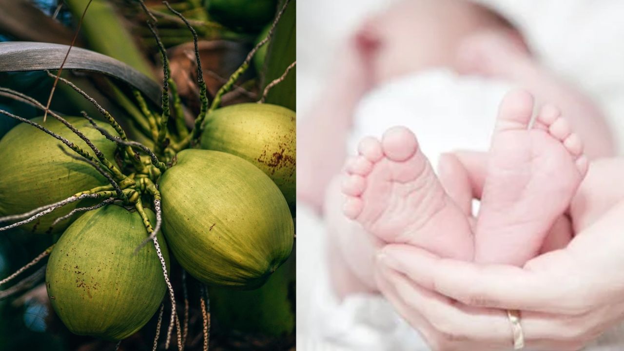 Tiruvannamalai: தென்னை மரத்திலிருந்து விழுந்த தேங்காய்.. குழந்தை பலி