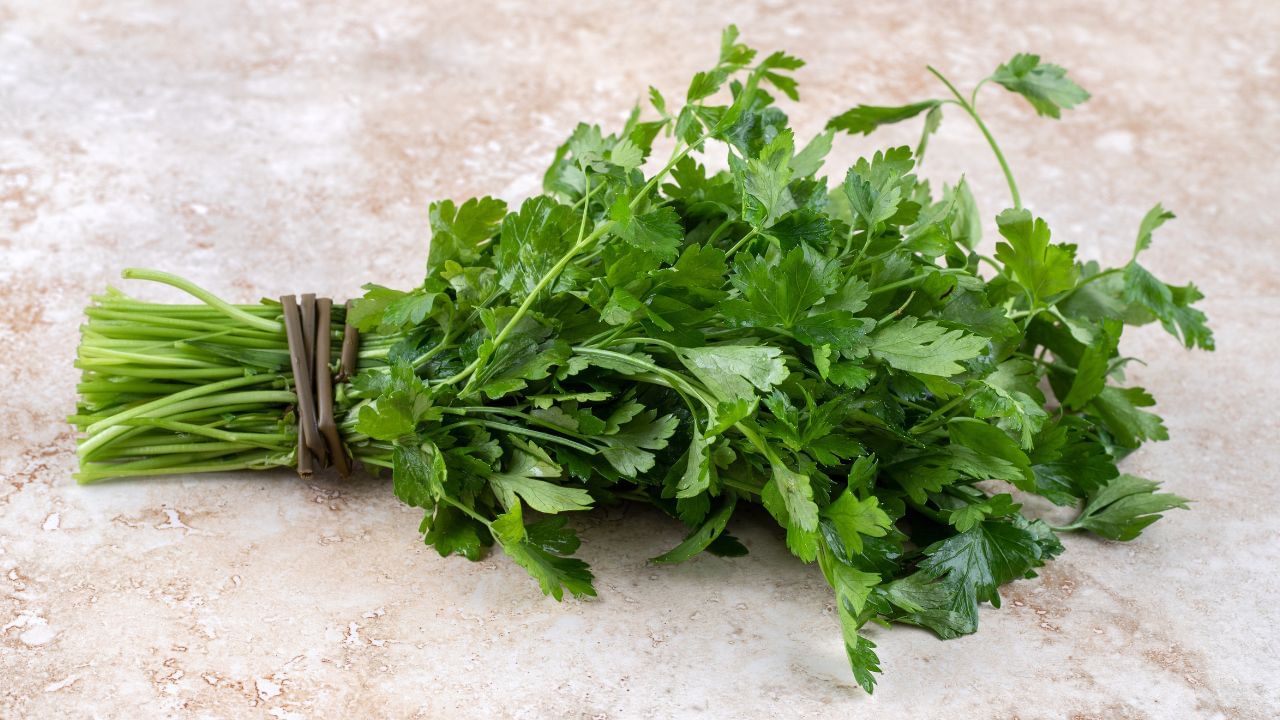 Coriander Storage Hacks: கொத்தமல்லி இலைகளை ப்ரஷாக வைத்திருப்பது எப்படி? எளிய 3 டிப்ஸ் இதோ! Coriander Storage Hacks: கொத்தமல்லி இலைகளை ப்ரஷாக வைத்திருப்பது எப்படி? எளிய 3 டிப்ஸ் இதோ!