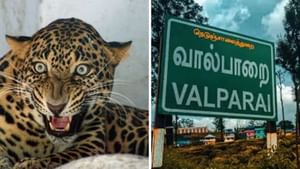 வால்பாறையில் பயங்கரம்… சிறுத்தை தாக்கி 8 வயது சிறுவன் உயிரிழப்பு!