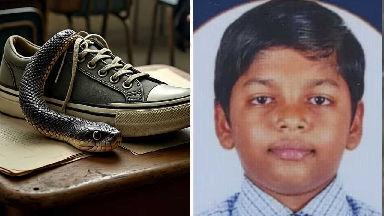 உஷார்.. ஷூவில் இருந்த பாம்பு.. கவனிக்காமல் அணிந்த சிறுவனுக்கு நேர்ந்த சோகம்! உஷார்.. ஷூவில் இருந்த பாம்பு.. கவனிக்காமல் அணிந்த சிறுவனுக்கு நேர்ந்த சோகம்!