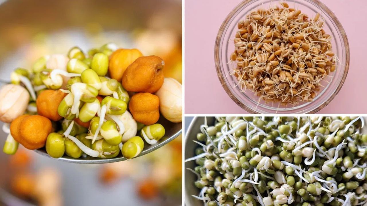சத்துகள் கொட்டிக்கிடக்கும் முளைக்கட்டிய உணவுகள்.. இதை ட்ரை பண்ணுங்க!