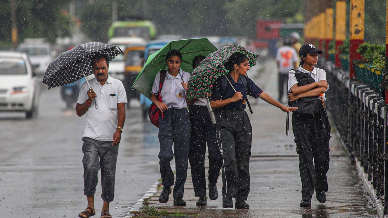 Tamil Nadu Weather Update: தமிழ்நாட்டில் அடுத்த 2 நாட்கள் மழையா? வெயிலா..? லேட்டஸ்ட் வானிலை அப்டேட்! Tamil Nadu Weather Update: தமிழ்நாட்டில் அடுத்த 2 நாட்கள் மழையா? வெயிலா..? லேட்டஸ்ட் வானிலை அப்டேட்!