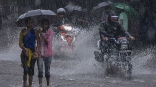 Tamil Nadu Rains : தமிழகத்தில் வெளுத்து வாங்கும் கனமழை.. நீலகிரி, கோவைக்கு ஆரஞ்சு அலர்ட்.. வானிலை அப்டேட்
