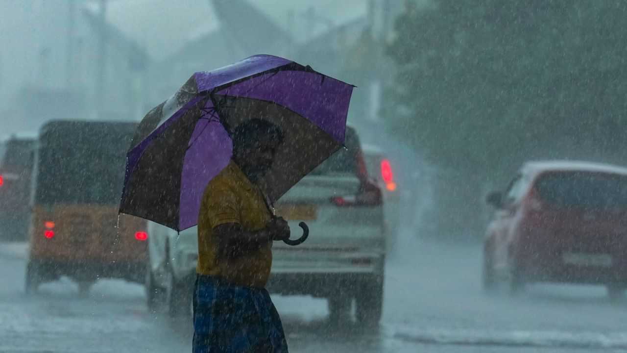 தமிழகத்தில் வெளுக்கும் மழை.. நீலகிரி, கோவைக்கு அலர்ட்.. சென்னையில் வானிலை எப்படி? தமிழகத்தில் வெளுக்கும் மழை.. நீலகிரி, கோவைக்கு அலர்ட்.. சென்னையில் வானிலை எப்படி?