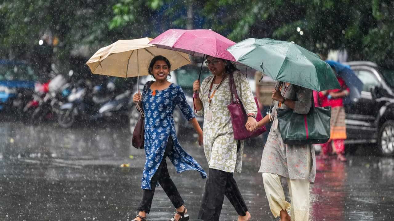 தமிழகத்தில் வெளுக்கும் மழை.. சென்னையில் எப்படி? லேட்டஸ்ட் வானிலை அப்டேட்! தமிழகத்தில் வெளுக்கும் மழை.. சென்னையில் எப்படி? லேட்டஸ்ட் வானிலை அப்டேட்!