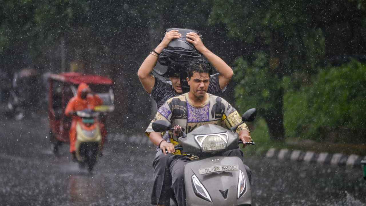 Tamil Nadu Weather Update : அடுத்த 5 நாட்களுக்கு வெளுக்கும் மழை.. சென்னையில் நிலவரம் என்ன? வானிலை மையம் அலர்ட் Tamil Nadu Weather Update : அடுத்த 5 நாட்களுக்கு வெளுக்கும் மழை.. சென்னையில் நிலவரம் என்ன? வானிலை மையம் அலர்ட்