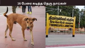 ஒரே நாளில் 16 பேர்.. ஒரு மணி நேரத்தில் 11 பேர்.. கடித்து குதறிய தெரு நாய்..
