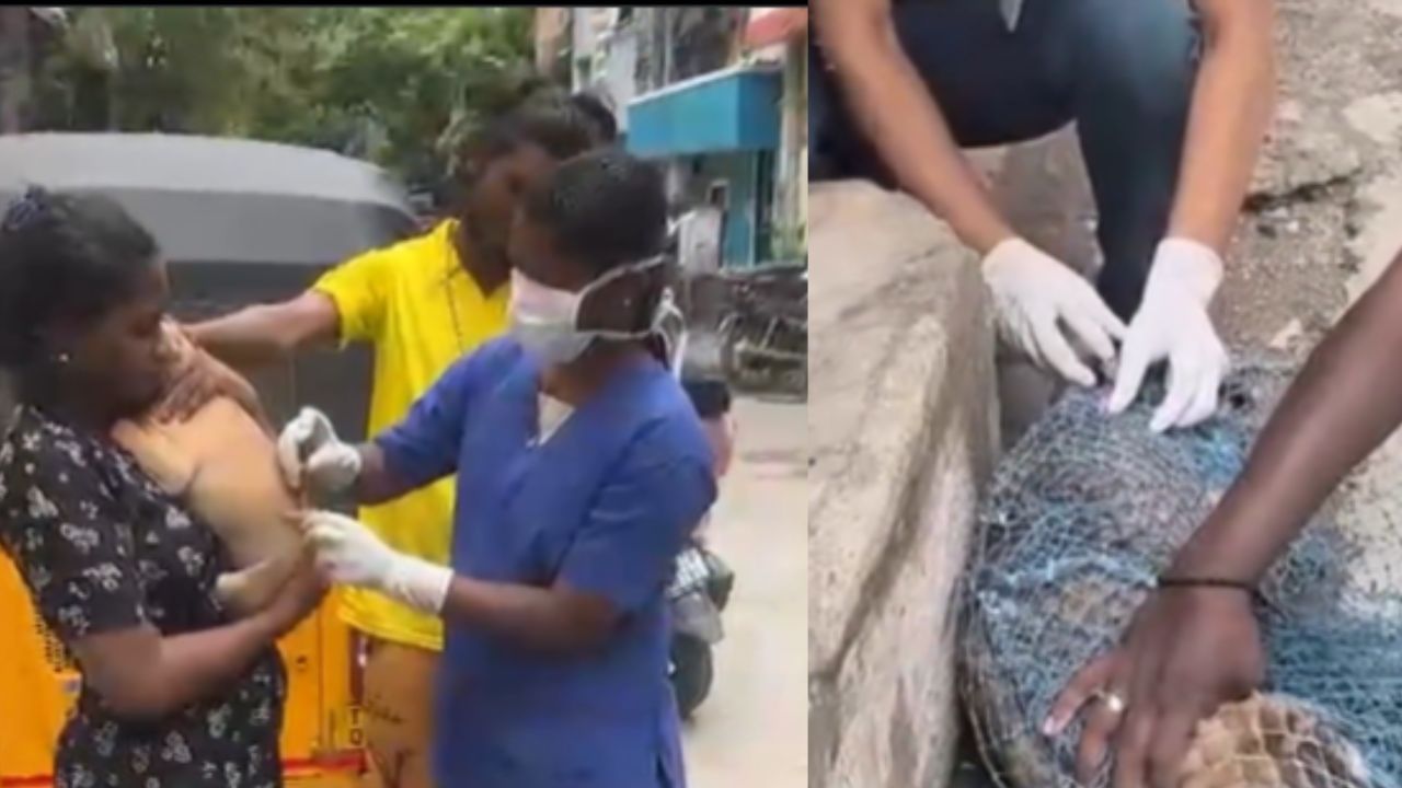 இதுவரை 28,250 தெரு நாய்களுக்கு ரேபிஸ் தடுப்பூசி – சென்னை மாநகராட்சி சொல்லும் டேட்டா.. இதுவரை 28,250 தெரு நாய்களுக்கு ரேபிஸ் தடுப்பூசி – சென்னை மாநகராட்சி சொல்லும் டேட்டா..