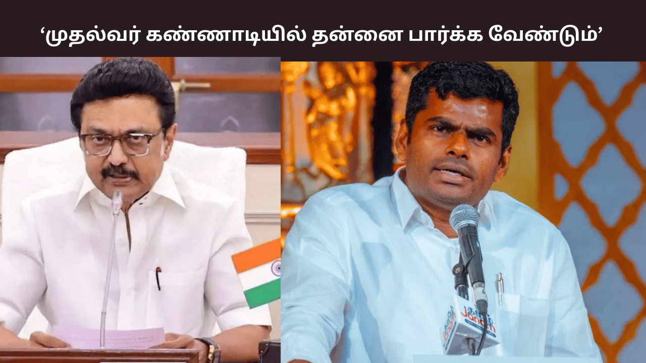 முதல்வர் கண்ணாடியில் தன்னை பார்க்க வேண்டும் – அண்ணாமலை விமர்சனம் முதல்வர் கண்ணாடியில் தன்னை பார்க்க வேண்டும் – அண்ணாமலை விமர்சனம்