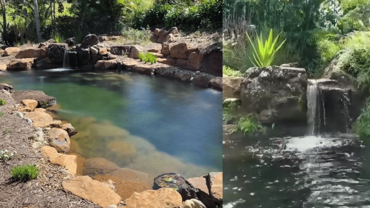 மகனுக்காக உருவாக்கிய கெமிக்கல் இல்லா நீச்சல் குளம் - ரூ.3 கோடி ஆண்டு வருமானம் ஈட்டும் நபர் - எப்படி நடந்தது இந்த மேஜிக்