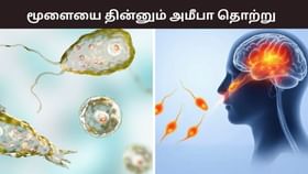 கேரளாவை மிரட்டும்  மூளையை தின்னும் அமீபா தொற்று..  இதுவரை 19 பேர் பலி..  தடுப்பது எப்படி?