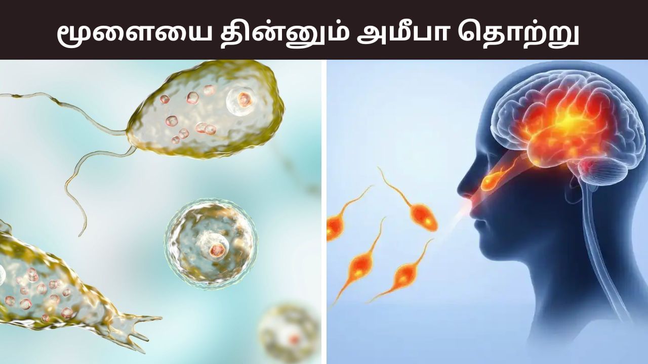 கேரளாவை மிரட்டும் மூளையை தின்னும் அமீபா தொற்று.. இதுவரை 19 பேர் பலி.. தடுப்பது எப்படி? கேரளாவை மிரட்டும் மூளையை தின்னும் அமீபா தொற்று.. இதுவரை 19 பேர் பலி.. தடுப்பது எப்படி?