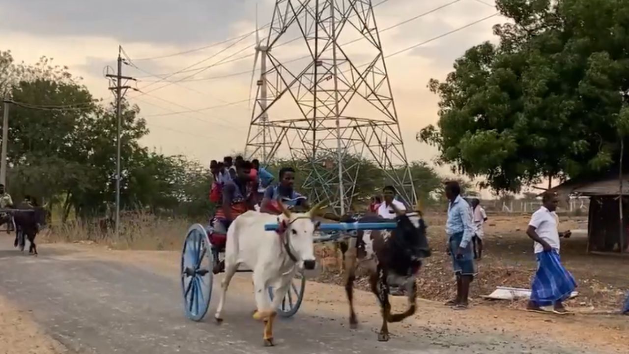 சுதந்திர போராட்ட வீரருக்காக மாட்டு வண்டி பந்தயம்.. தூத்துக்குடி சம்பவம்