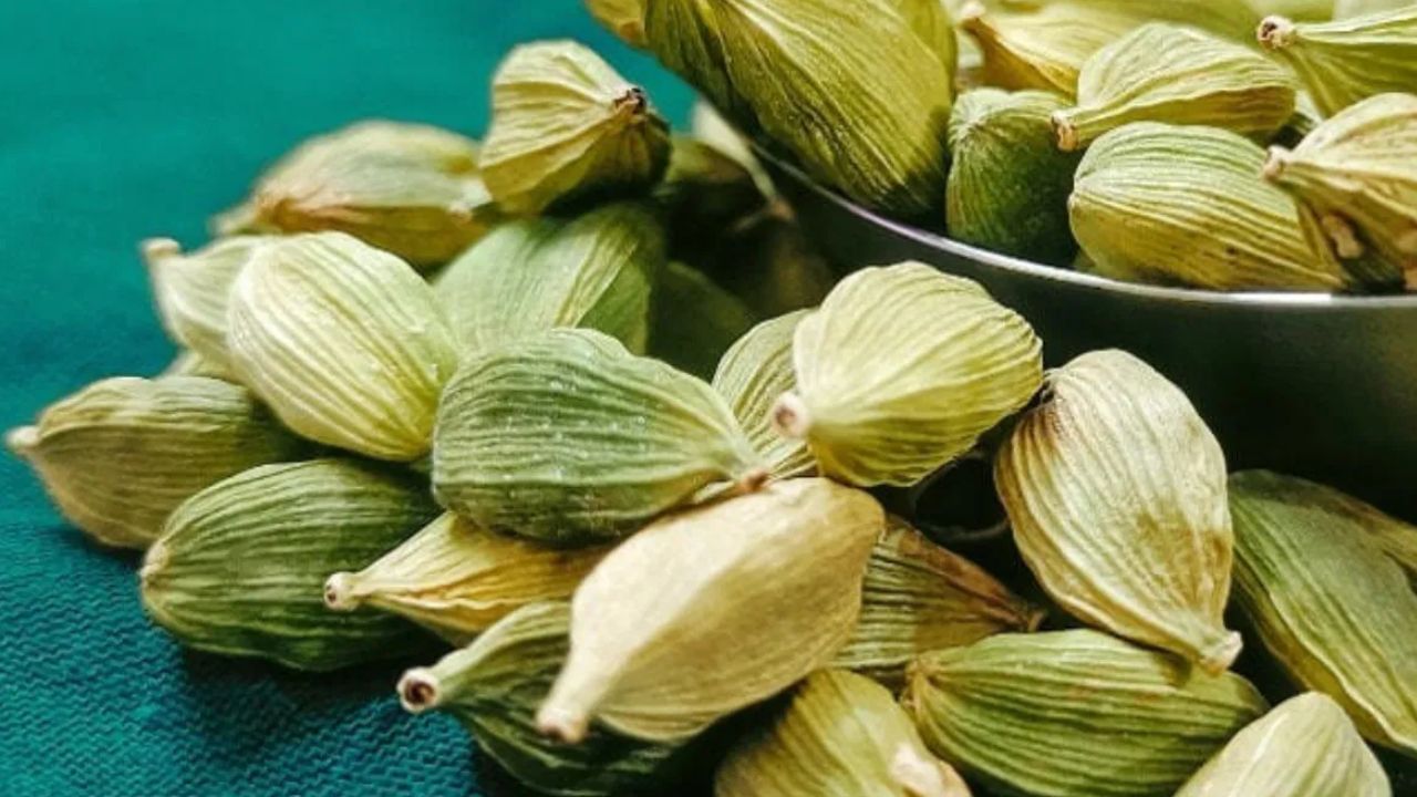 Vastu Tips: பணப் பிரச்னைகளை போக்கும் ஏலக்காய் வழிபாடு.. செய்வது எப்படி? Vastu Tips: பணப் பிரச்னைகளை போக்கும் ஏலக்காய் வழிபாடு.. செய்வது எப்படி?