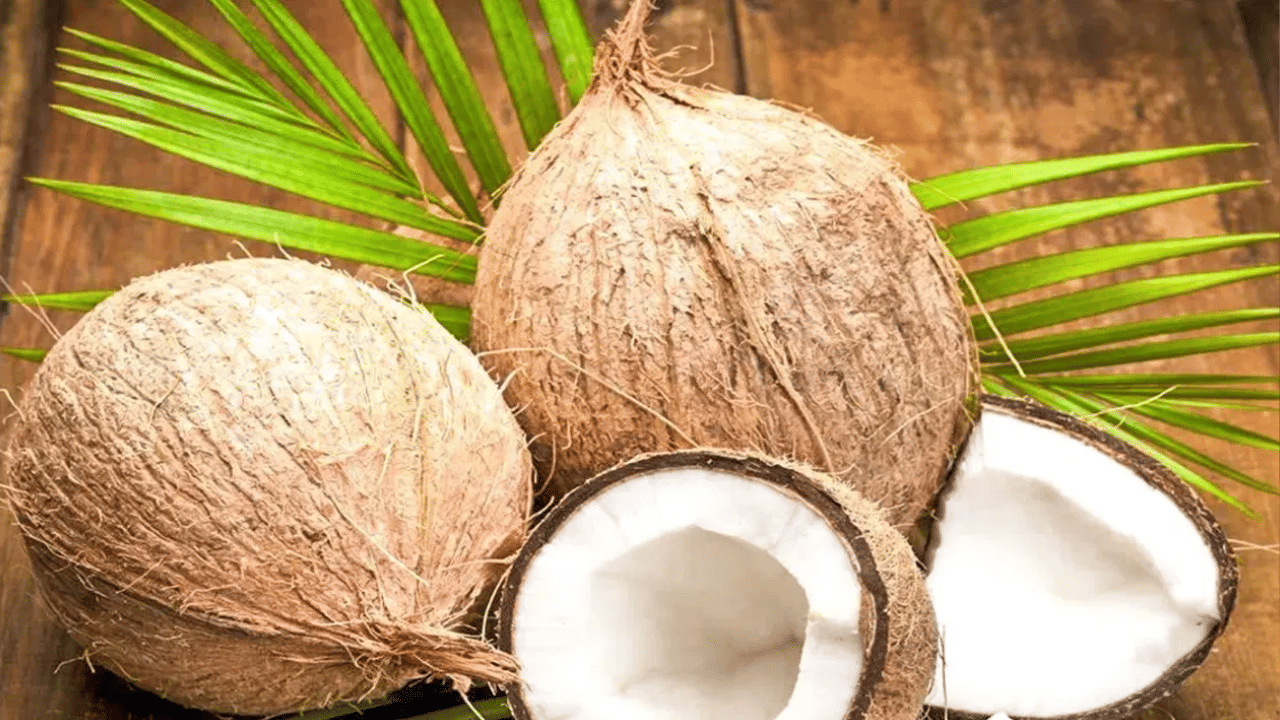 காலையில் வெறும் வயிற்றில் தேங்காய் சாப்பிடுவதால் என்ன நடக்கும் தெரியுமா? காலையில் வெறும் வயிற்றில் தேங்காய் சாப்பிடுவதால் என்ன நடக்கும் தெரியுமா?