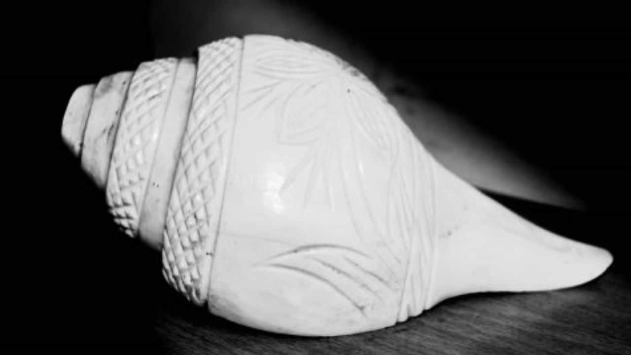 தினமும் 10 விநாடிகள் போதும்.. சங்கு ஊதுவதால் இவ்வளவு நன்மைகளா? தினமும் 10 விநாடிகள் போதும்.. சங்கு ஊதுவதால் இவ்வளவு நன்மைகளா?