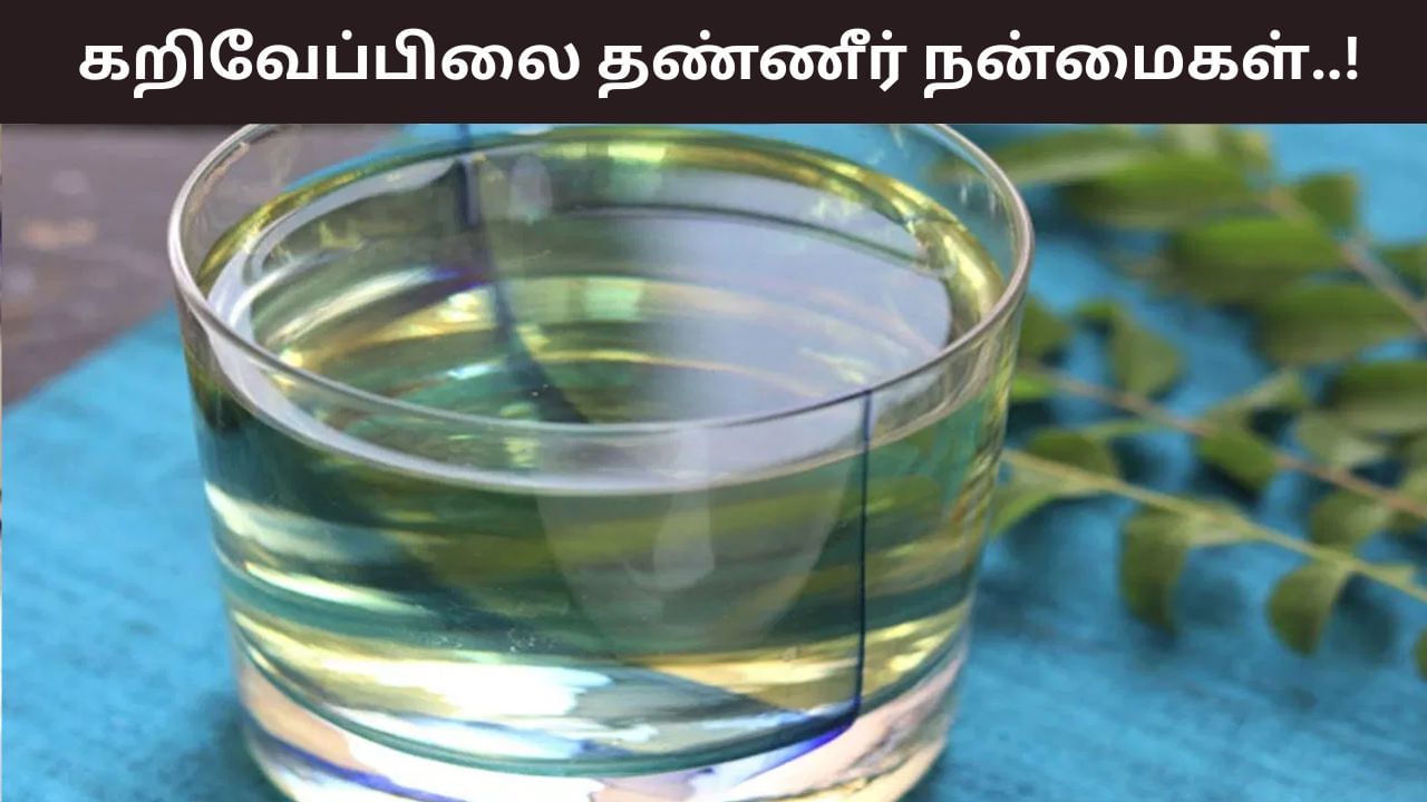 Curry Leaves Water: தினமும் 4 இலைகள்.. ஆரோக்கியத்தை அள்ளி தரும் கறிவேப்பிலை தண்ணீர்!