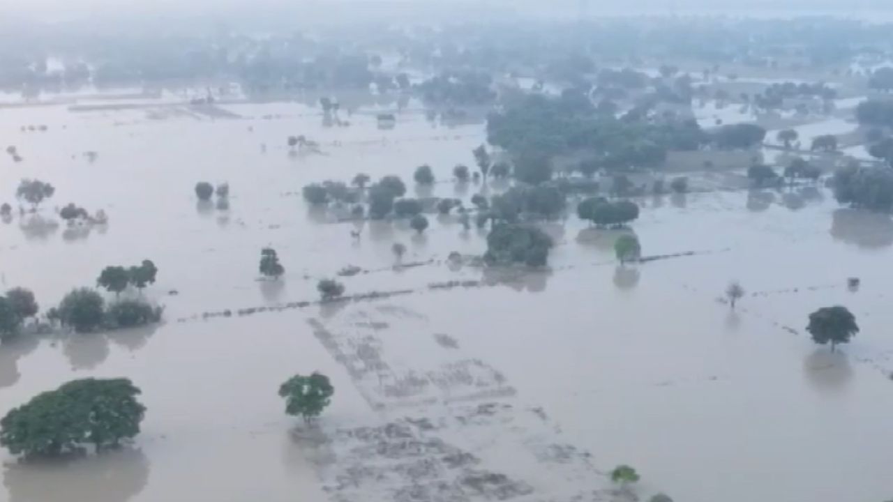 பார்க்கும் இடமெல்லாம் வெள்ளம்.. கரைபுரண்டோடும் யமுனா நதி! பார்க்கும் இடமெல்லாம் வெள்ளம்.. கரைபுரண்டோடும் யமுனா நதி!