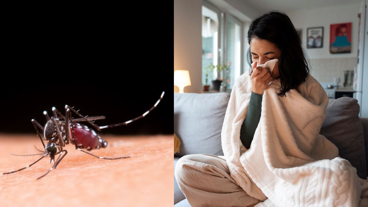 Health Tips: டெங்குவின் ஆரம்ப அறிகுறிகள் என்ன? அதை எவ்வாறு தடுப்பது..?
