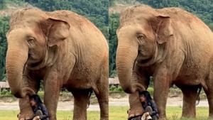 Viral Video : பாடல் பாடிய பாதுகாவலர்.. கட்டி அணைத்தபடி மெய் மறந்து கேட்ட யானை.. வைரல் வீடியோ!