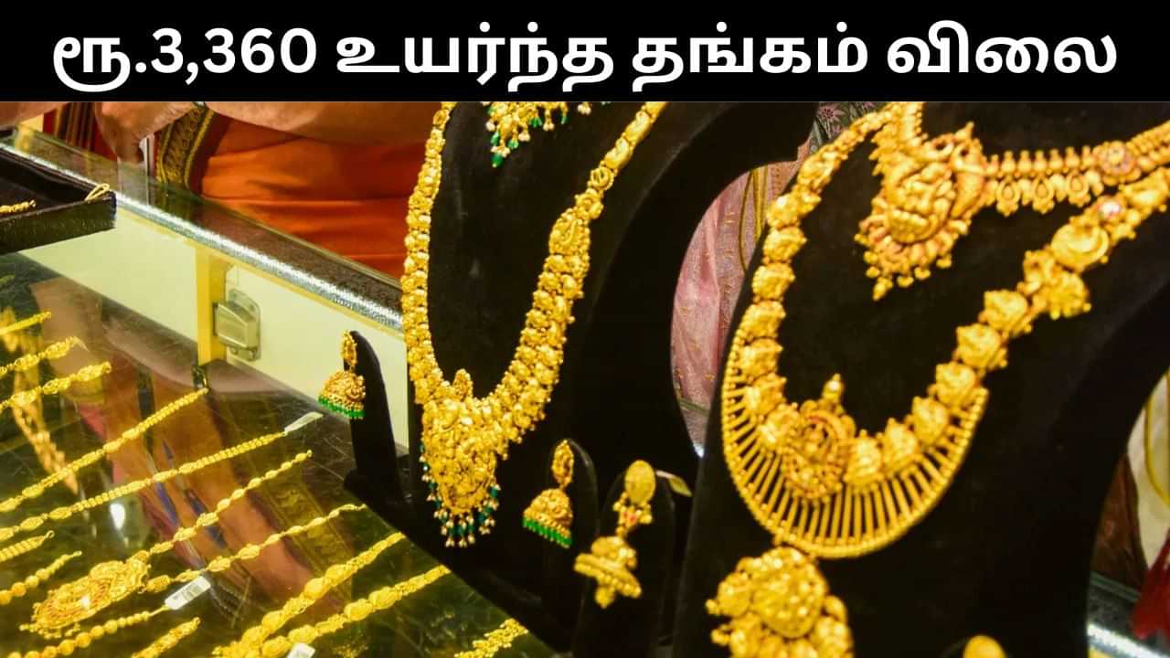 Gold Price : சவரனுக்கு ரூ.3360 உயர்ந்த தங்கம்.. கடந்த 10 நாட்களில் இப்படியா? ஷாக்கில் நகை பிரியர்கள்!