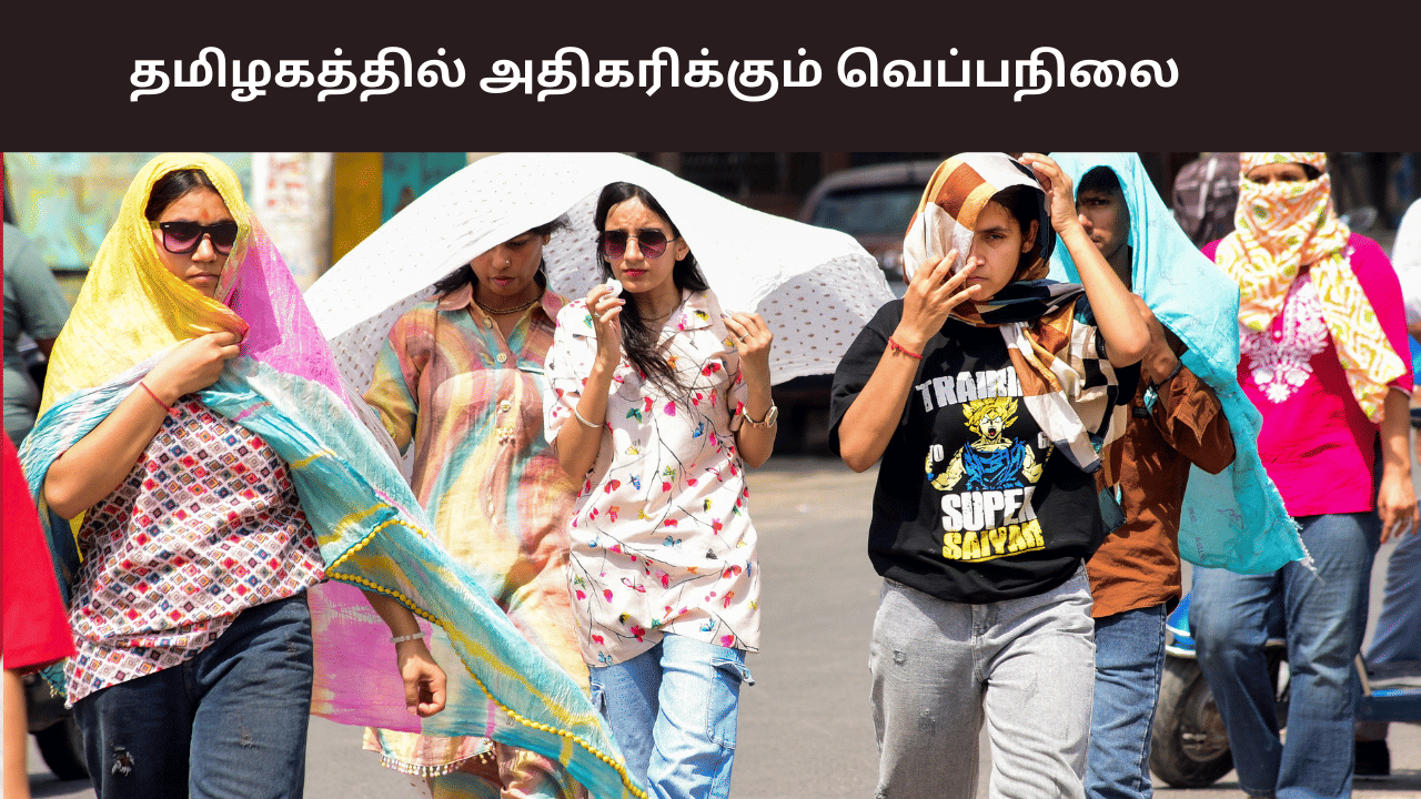 தமிழகத்தில் படிப்படியாக அதிகரிக்கும் வெப்பநிலை.. அடுத்த 7 நாட்களுக்கு மழை இருக்குமா?
