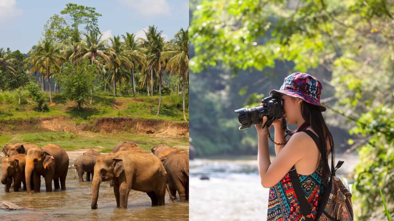 Sri Lanka Tourism: இலங்கைதான் டூர் பிளான்.. சுற்றுலாவுக்கு குவியும் இந்தியர்கள்.... அப்படி என்னதான் ஸ்பெஷல்?
