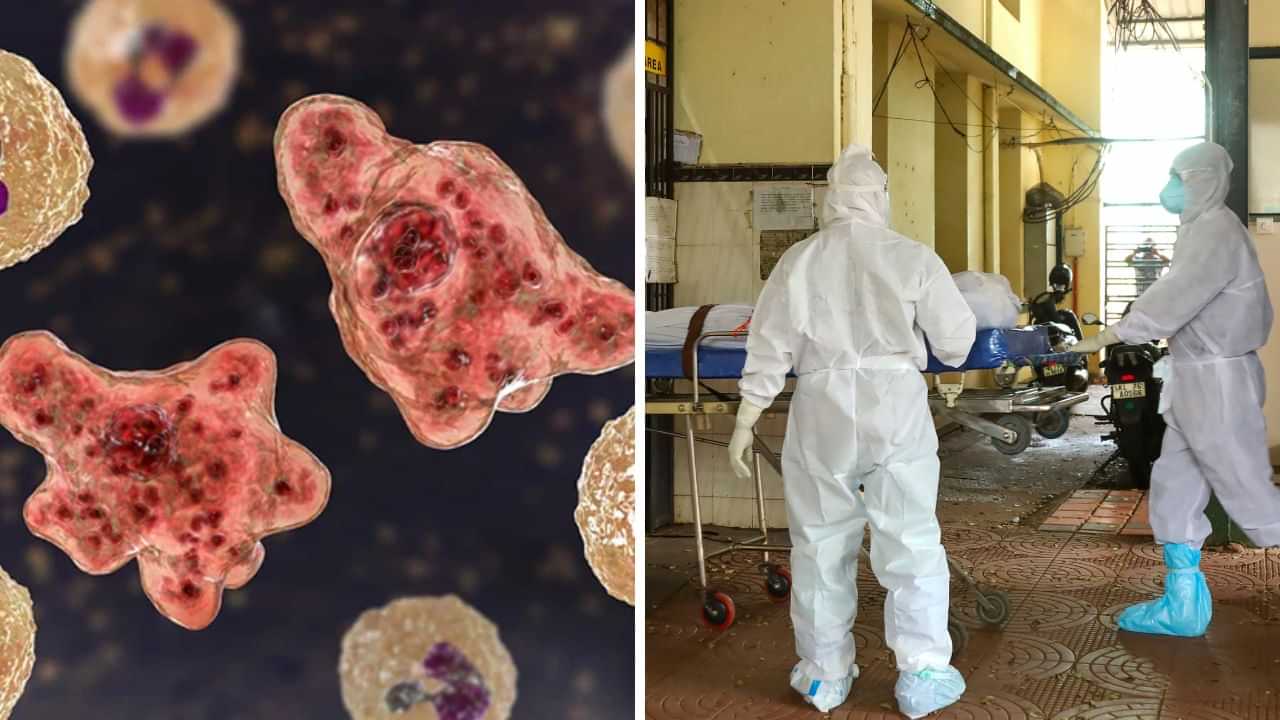 கேரளாவை அச்சுறுத்தும் மூளையை தின்னும் அமீபா.. அதிகரிக்கும் உயிரிழப்புகள்.. உஷார் மக்களே! கேரளாவை அச்சுறுத்தும் மூளையை தின்னும் அமீபா.. அதிகரிக்கும் உயிரிழப்புகள்.. உஷார் மக்களே!