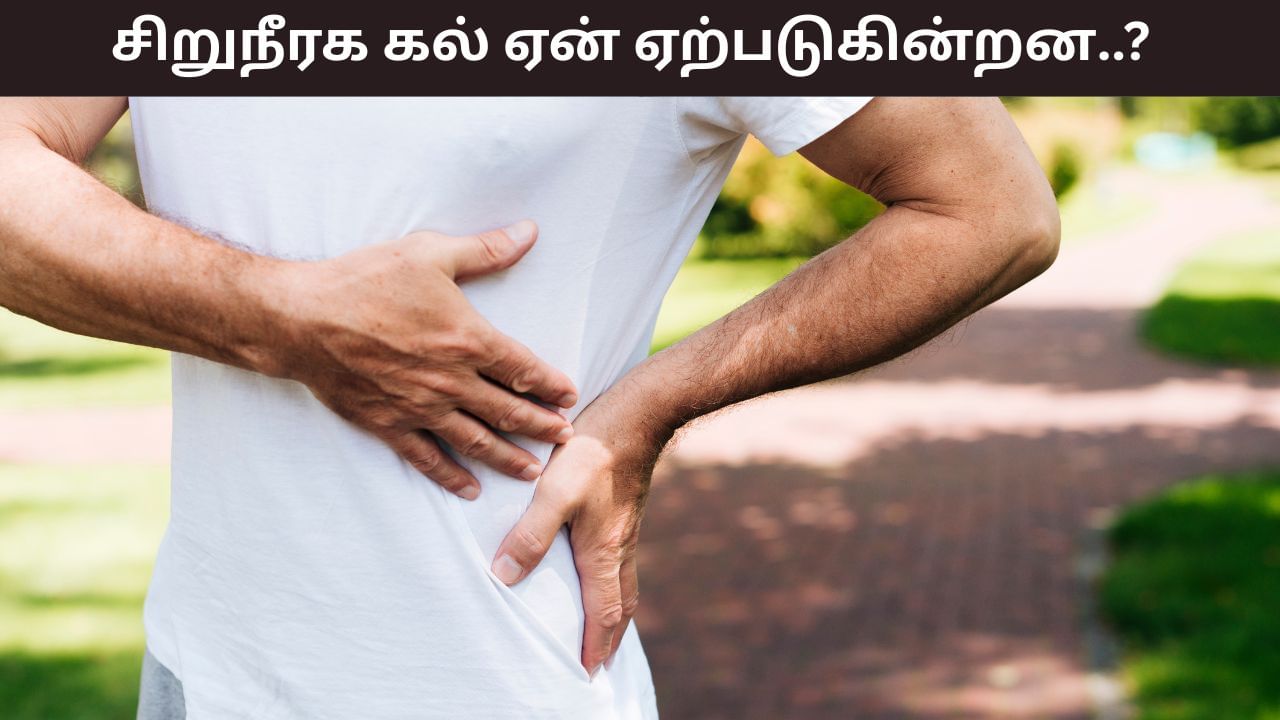 Kidney Stones: சிறுநீரக கற்கள் ஏற்படுவதற்கான காரணங்கள்! வராமல் தடுக்க உதவும் குறிப்புகள்..!
