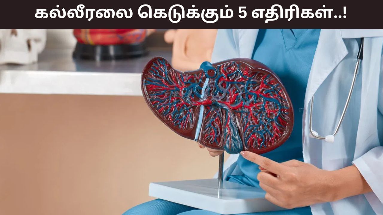 Liver Health: கல்லீரலுக்கு இவை ஐந்தும் பெரிய எதிரிகள்.. புறக்கணிப்பது உடல் நலத்திற்கு நல்லது!