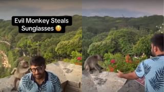 Viral Video : பாலியில் இளைஞரின் Sun Glass-ஐ பிடுங்கிச் சென்ற குரங்கு.. இணையத்தில் வைரலாகும் வீடியோ!