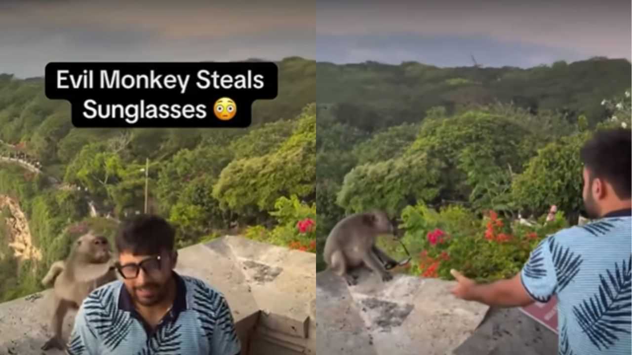 Viral Video : பாலியில் இளைஞரின் Sun Glass-ஐ பிடுங்கிச் சென்ற குரங்கு.. இணையத்தில் வைரலாகும் வீடியோ!
