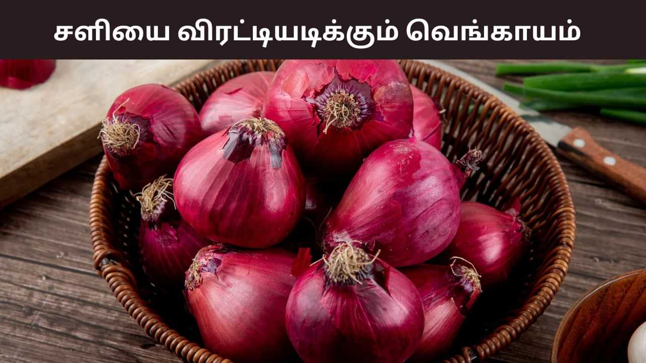 Onion Benefits: சளி, இருமலை உடனடியாக குணப்படுத்தும் அருமருந்து.. வெங்காயத்தை எப்படி பயன்படுத்தி பலன் பெறலாம்?