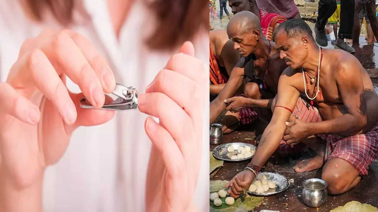 அந்த 15 நாட்கள்.. பித்ரு பக்ஷம் காலத்தில் இந்த விஷயங்களை செய்யாதீங்க.. காரணம் இதோ! அந்த 15 நாட்கள்.. பித்ரு பக்ஷம் காலத்தில் இந்த விஷயங்களை செய்யாதீங்க.. காரணம் இதோ!