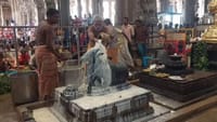 நந்தியம் பெருமானுக்கு அபிஷேகம் செய்து நற்பலன் பெறும் உன்னத நாள்!...