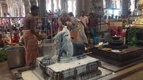 நந்தியம் பெருமானுக்கு அபிஷேகம் செய்து நற்பலன் பெறும் உன்னத நாள்!...
