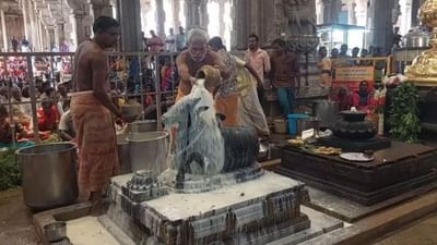 புரட்டாசி மாத முதல் பிரதோஷம்.. ஜம்புகேஸ்வரர் கோயிலில் கோலாகலம் புரட்டாசி மாத முதல் பிரதோஷம்.. ஜம்புகேஸ்வரர் கோயிலில் கோலாகலம்